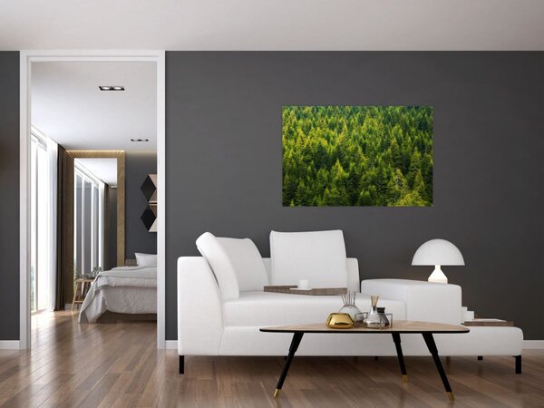 Tablou - Pădure deasă (90x60 cm)