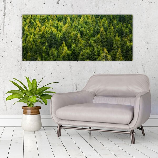 Tablou - Pădure deasă (120x50 cm)
