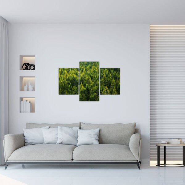 Tablou - Pădure deasă (90x60 cm)