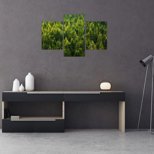 Tablou - Pădure deasă (90x60 cm)