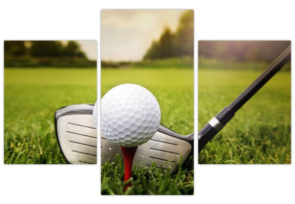 Tablou - Golf (90x60 cm)