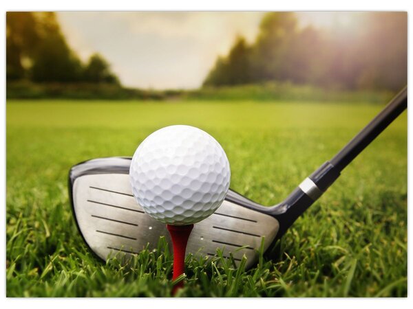 Tablou - Golf (70x50 cm)