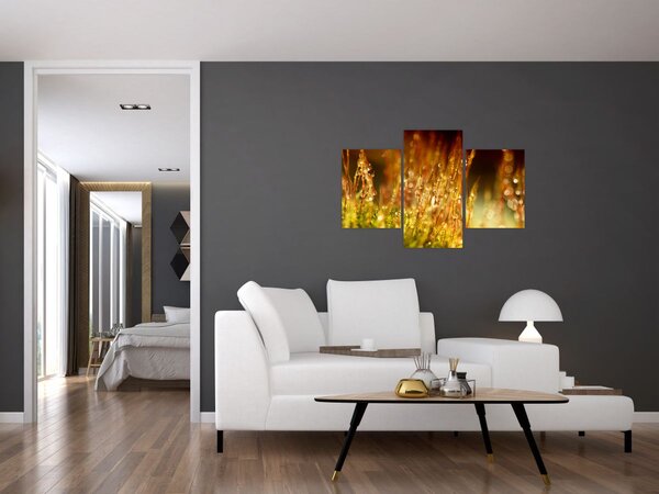 Tablou - Detaliu rouă (90x60 cm)
