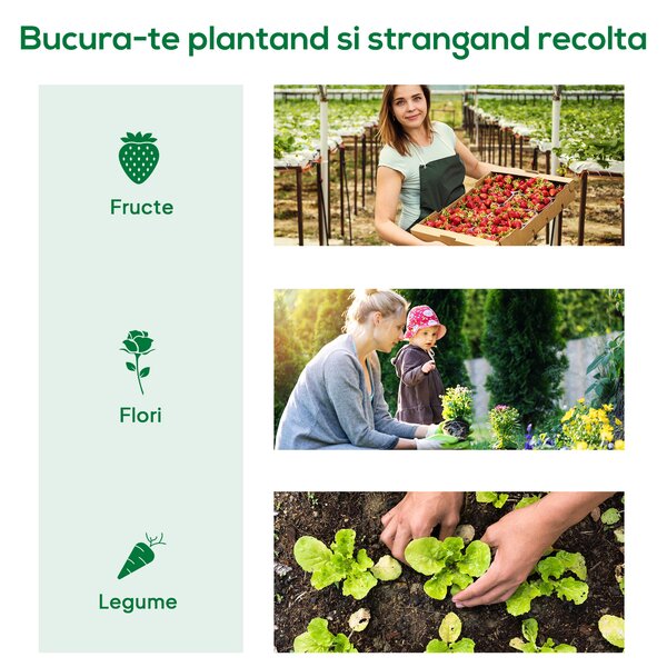 Outsunny Sera de Gradina cu Rafturi din Metal si Copertina din PE, Sera pentre Legume cu Usa Rulou 80x49x160cm, Verde | Aosom Romania