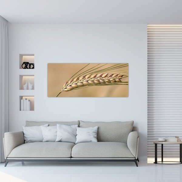 Tablou - Grâu (120x50 cm)