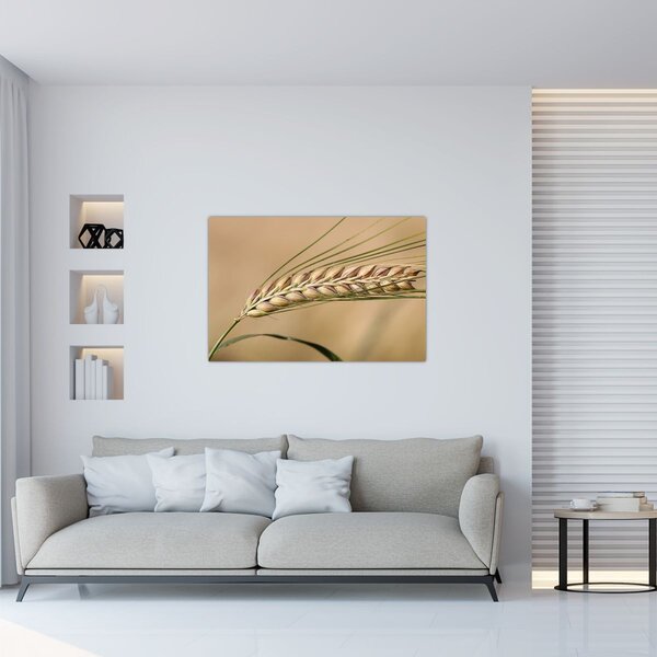 Tablou - Grâu (90x60 cm)