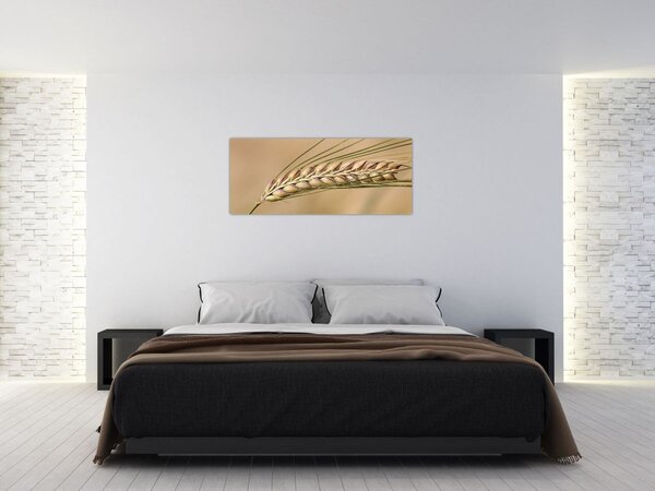 Tablou - Grâu (120x50 cm)