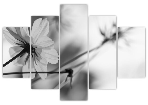 Tablou - Flori alb-negru (150x105 cm)