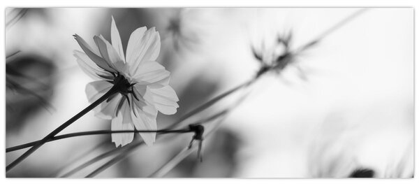 Tablou - Flori alb-negru (120x50 cm)