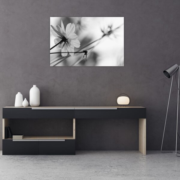 Tablou - Flori alb-negru (90x60 cm)