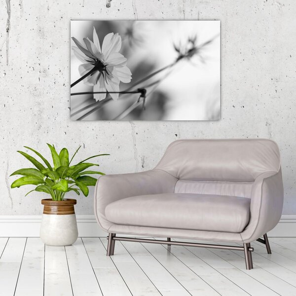Tablou - Flori alb-negru (90x60 cm)
