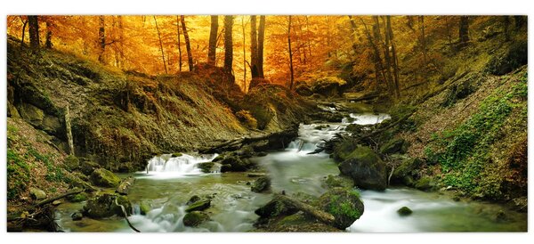Tablou - Pădure (120x50 cm)