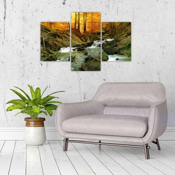Tablou - Pădure (90x60 cm)