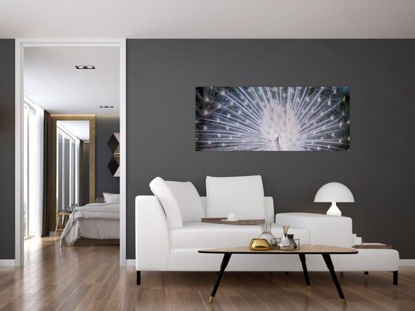 Tablou - Păun alb (120x50 cm)