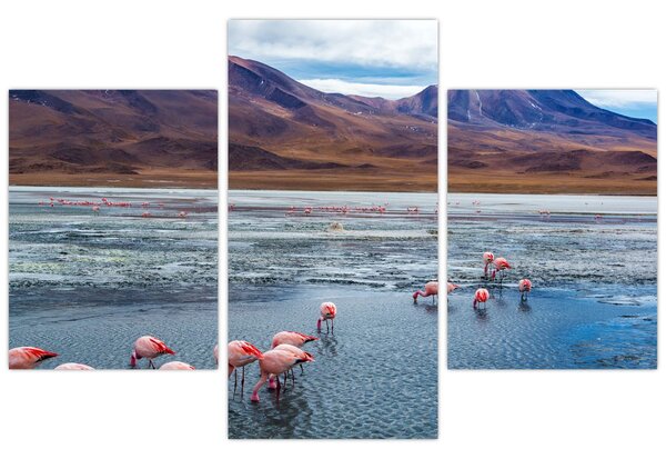 Tablou - Flamingo (90x60 cm)