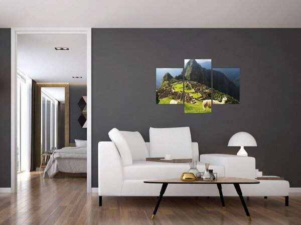 Tablou - Lame in Machu Picchu (90x60 cm)