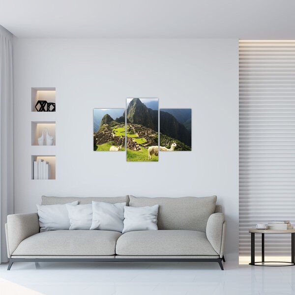Tablou - Lame in Machu Picchu (90x60 cm)