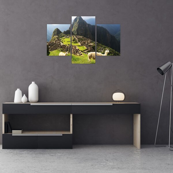 Tablou - Lame in Machu Picchu (90x60 cm)