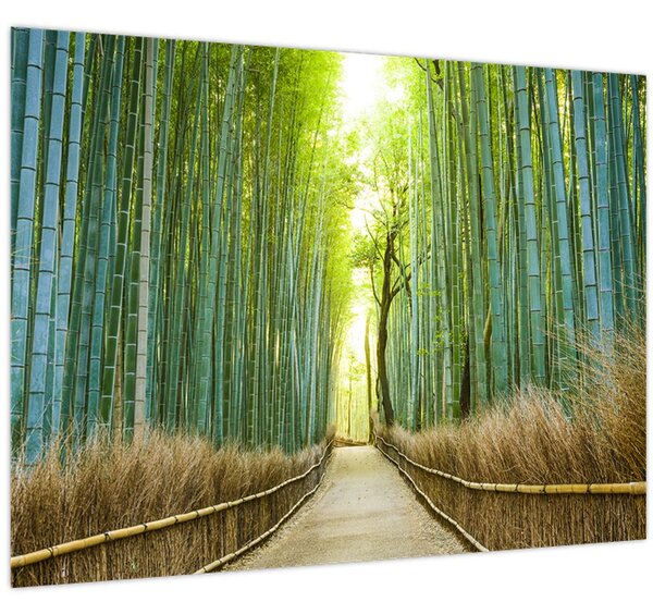 Tablou - Strada cu bambuși (70x50 cm)