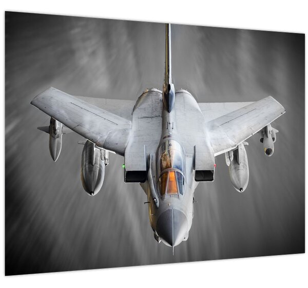 Tablou - Avion de vânătoare (70x50 cm)