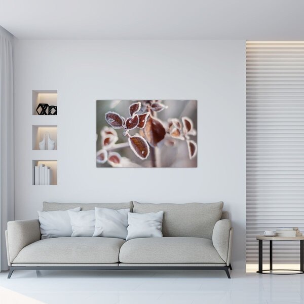 Tablou - Detaliu frunze (90x60 cm)