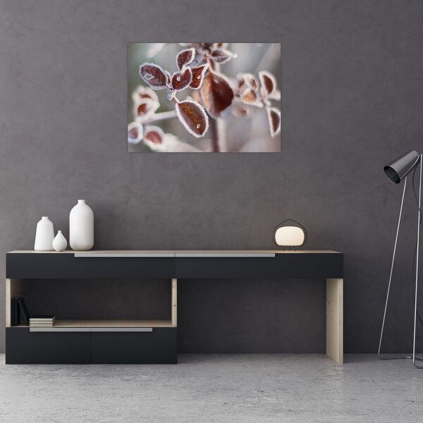 Tablou - Detaliu frunze (70x50 cm)