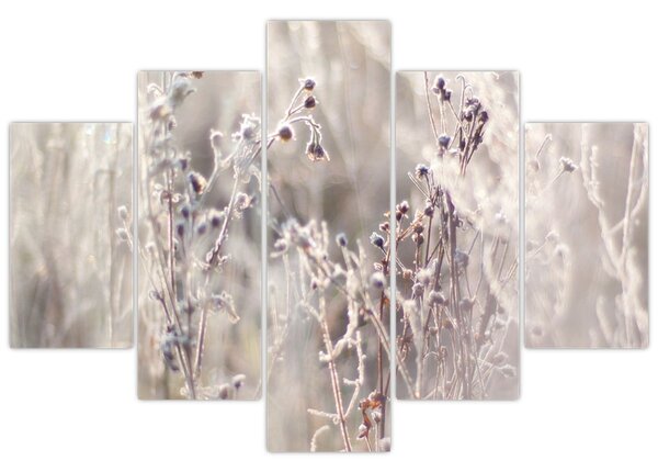 Tablou - Plante (150x105 cm)
