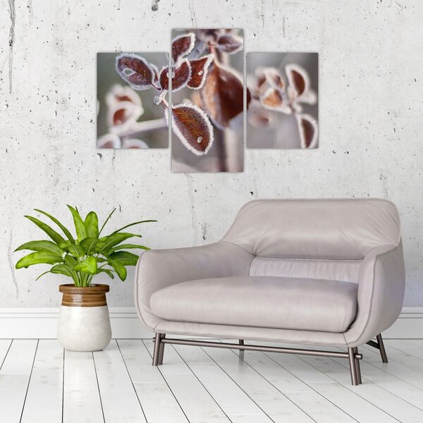Tablou - Detaliu frunze (90x60 cm)