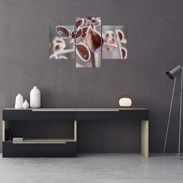 Tablou - Detaliu frunze (90x60 cm)