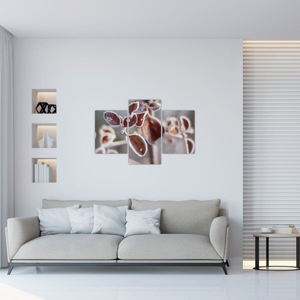 Tablou - Detaliu frunze (90x60 cm)
