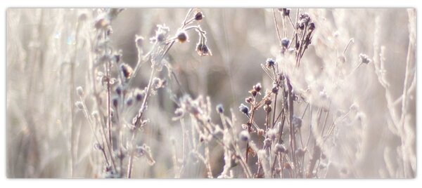 Tablou - Plante (120x50 cm)
