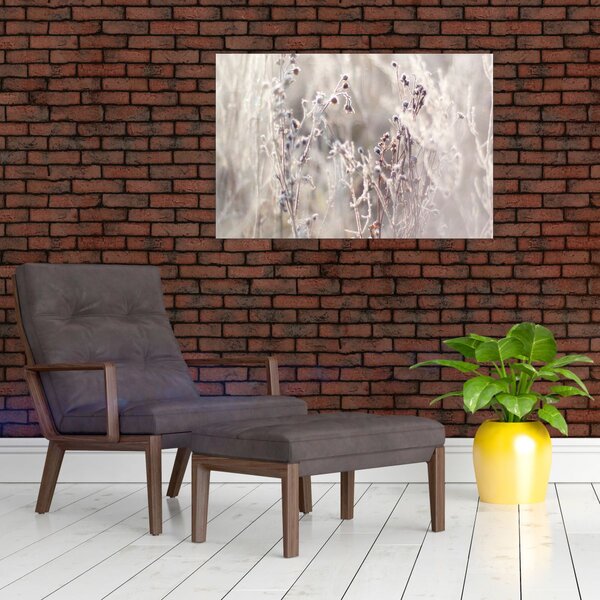 Tablou - Plante (90x60 cm)