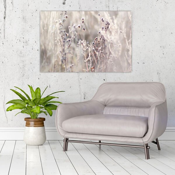 Tablou - Plante (90x60 cm)