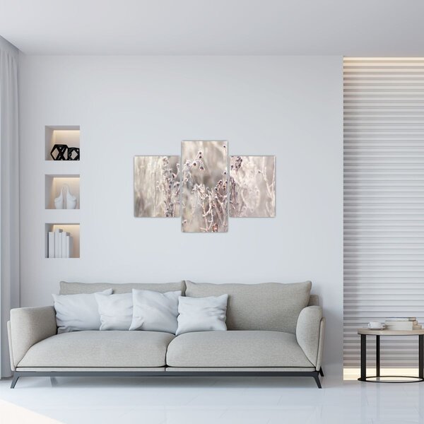 Tablou - Plante (90x60 cm)