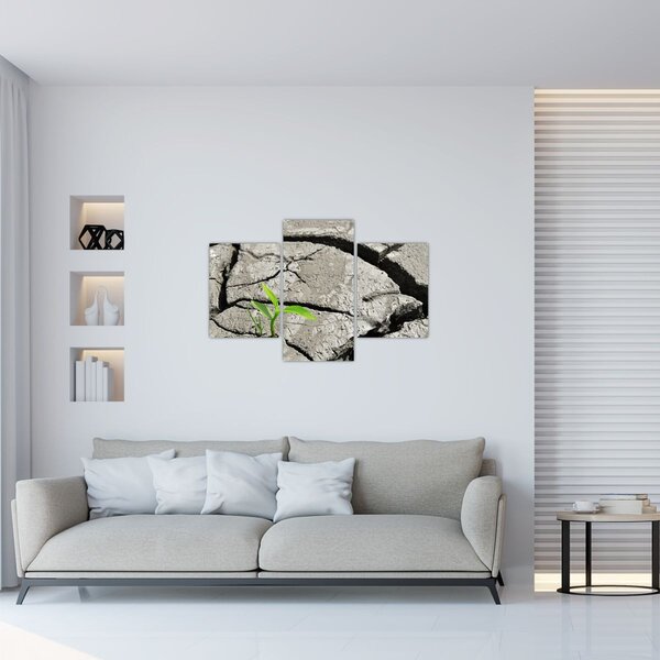 Tablou - Fisuri (90x60 cm)