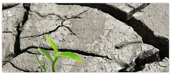 Tablou - Fisuri (120x50 cm)
