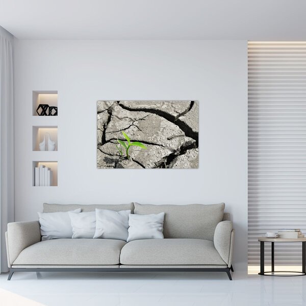 Tablou - Fisuri (90x60 cm)