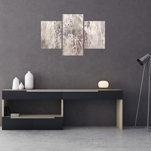 Tablou - Plante (90x60 cm)