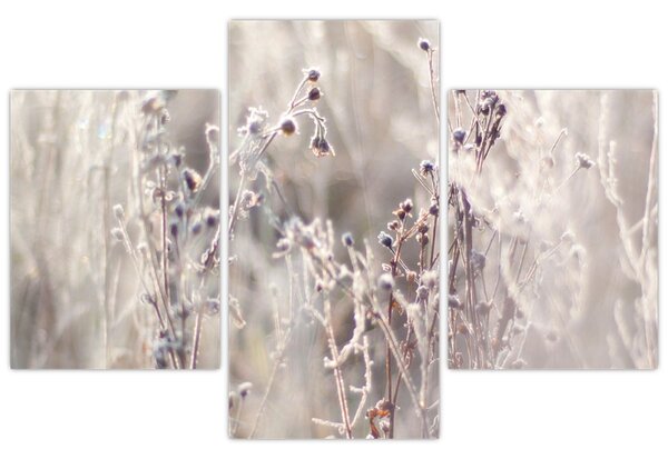 Tablou - Plante (90x60 cm)