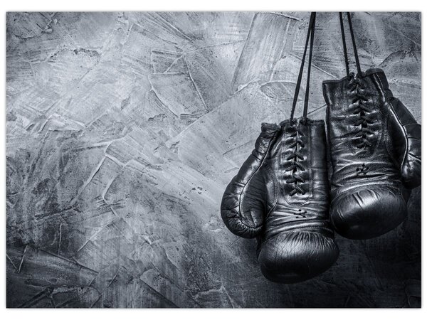 Tablou - Mănuși de box (70x50 cm)