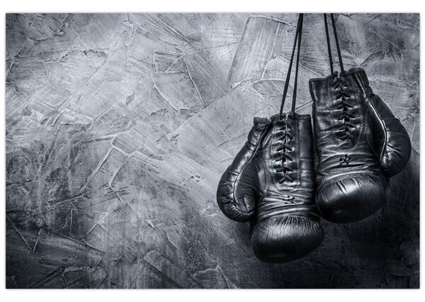 Tablou - Mănuși de box (90x60 cm)