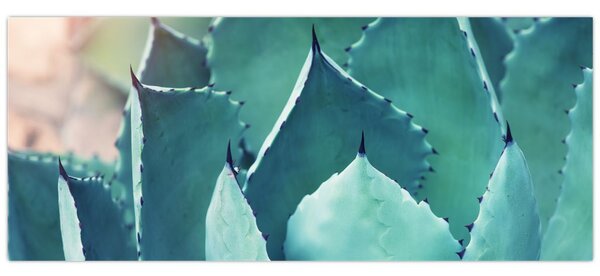 Tablou - Suculent (120x50 cm)