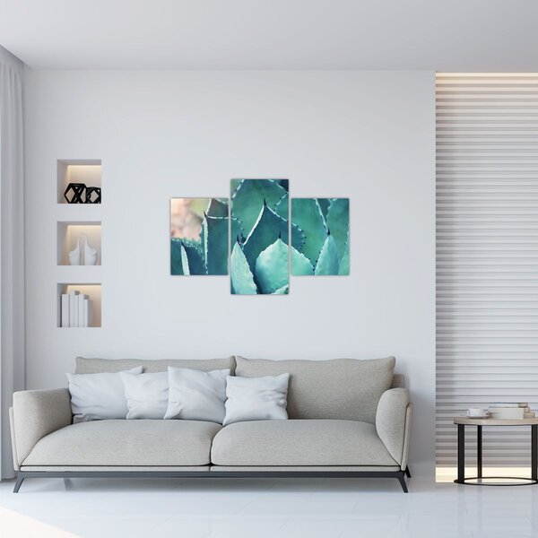 Tablou - Suculent (90x60 cm)
