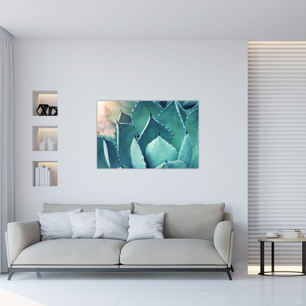 Tablou - Suculent (90x60 cm)