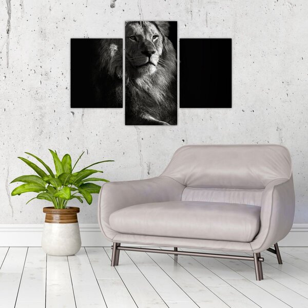 Tablou - Leu (90x60 cm)