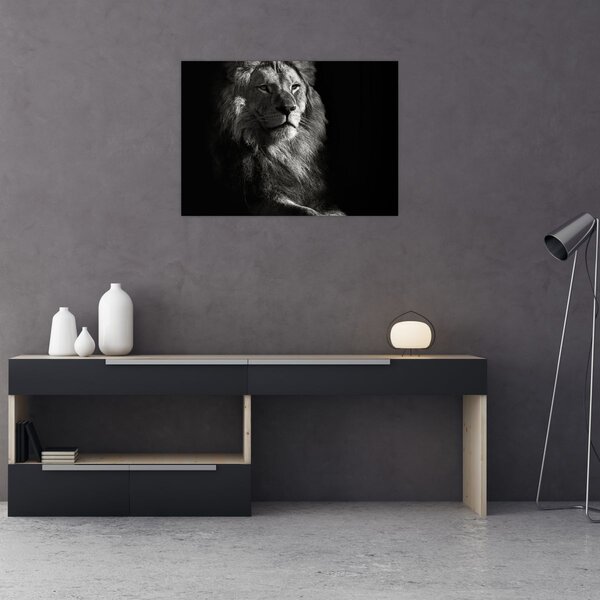 Tablou - Leu (70x50 cm)