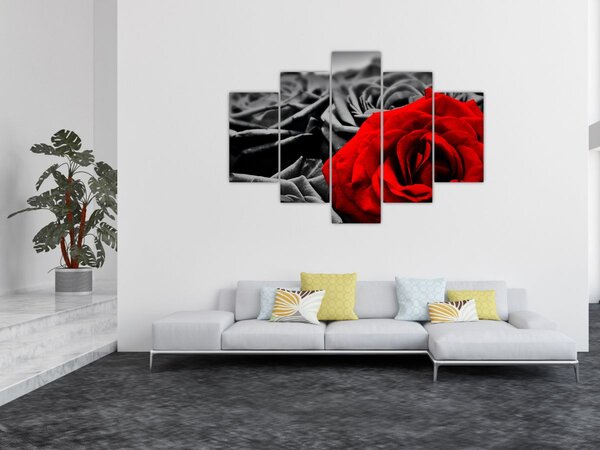 Tablou - Trandafir (150x105 cm)