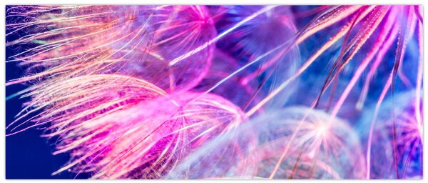 Tablou - Macro (120x50 cm)