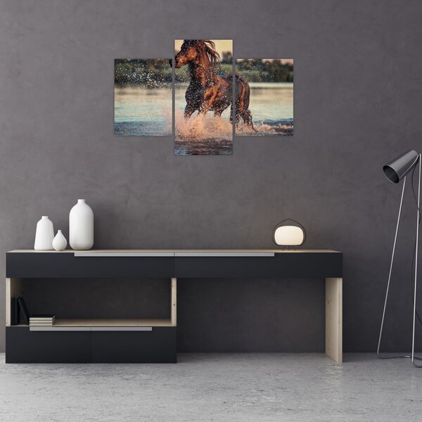 Tablou - Cal care aleargă (90x60 cm)
