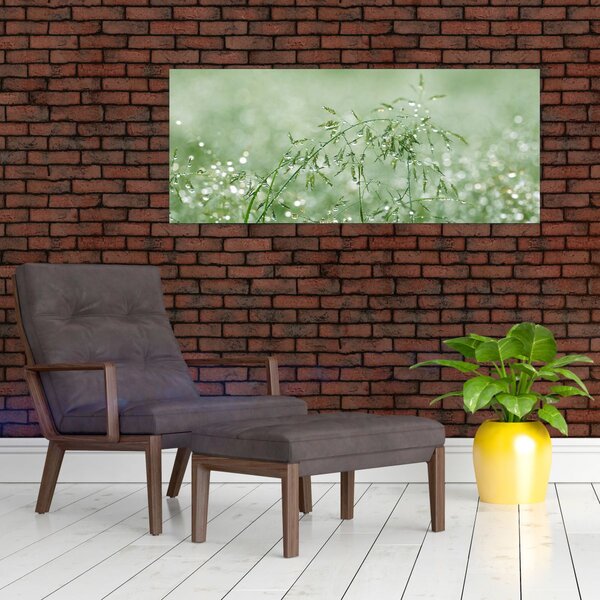 Tablou - Roua dimineții pe firele de iarbă (120x50 cm)
